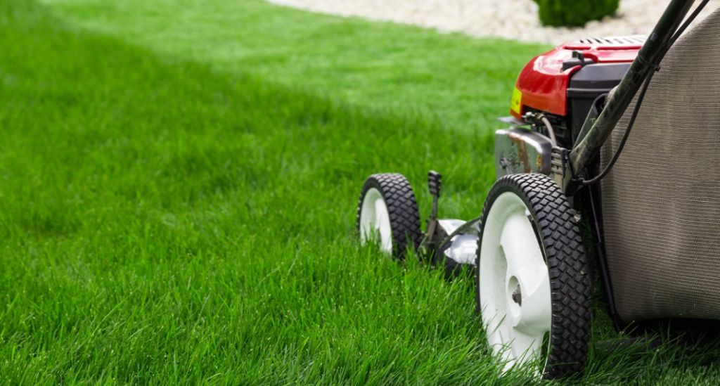 Lawn Maintenance